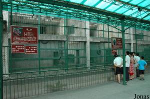 Cages de l'orang-outan et du chimpanzé