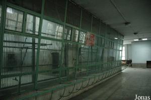Cages intérieures des anthropoïdes