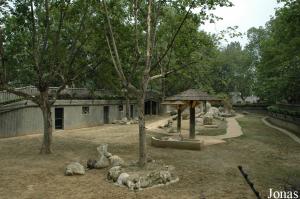 Enclos des gorals à queue courte, des bharals, des guibs harnachés et des addax