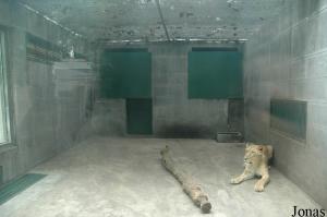 Une des cages des lions