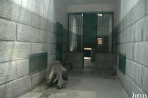 Cages des marmottes de Mongolie