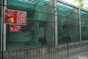 Cages extérieures des rhinopithèques