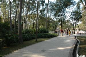 Allée du Guangzhou Zoo