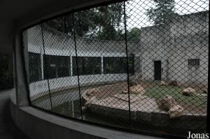 Installation des babouins