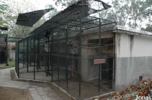Cages des capucins et des gibbons