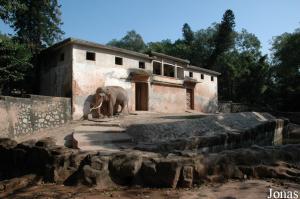 Bâtiment des éléphants asiatiques et un des enclos