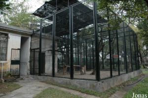 Cage d'une famille de gibbon