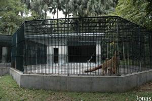 Cage du guépard