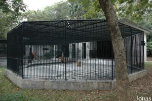 Une des cages des jaguars