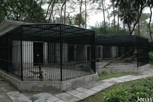 Cages des jaguars