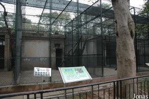 Cage des macaques crabiers