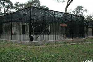 Cage des macaques à queue de lion