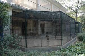 Cages des macaques