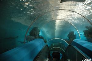 Tunnel subaquatique