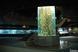Aquarium du Guangzhou Ocean World