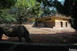 Un des enclos des rhinocéros blancs
