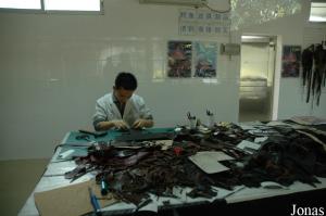 Atelier de maroquinerie