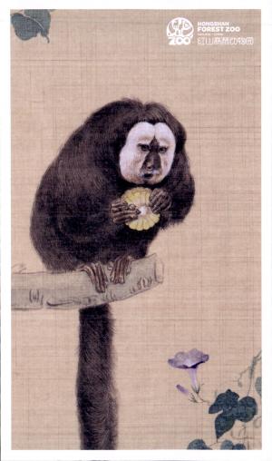 Carte postale