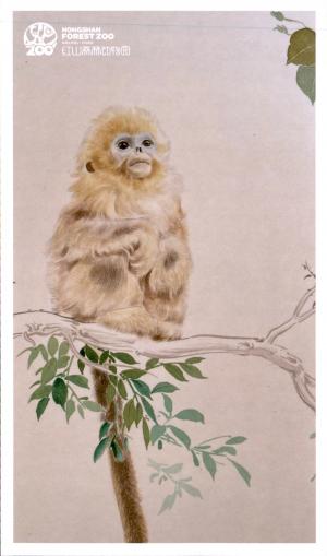 Carte postale