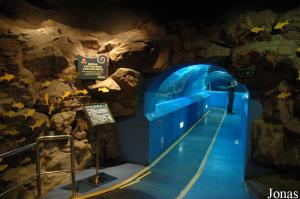 Submarine Tunnel