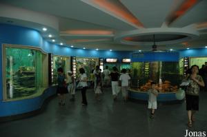 Salle circulaire de l'aquarium