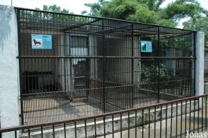 Cages des chiens