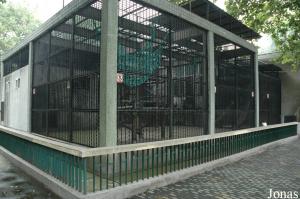 Cage extérieure des chimpanzés sub-adultes