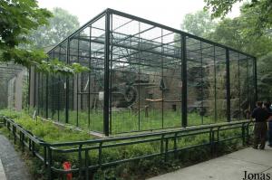 Enclos des gibbons à favoris du Laos