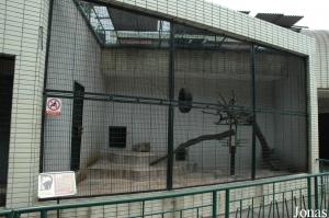 Cage des lémurs noirs