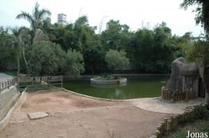 Enclos des hippopotames amphibies