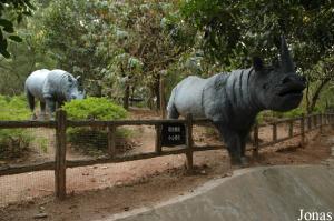 Reconstitutions grandeur nature de rhinocéros