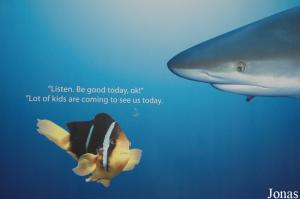 Publicité pour le Sharjah Aquarium