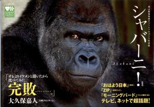 <strong>Shabani</strong>, Higashiyama Zoo & Botanical Gardens, 2015