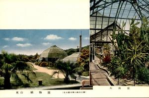 Carte postale