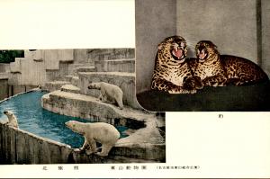 Carte postale
