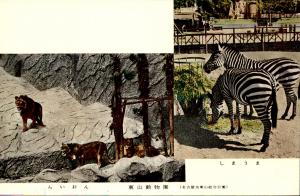Carte postale