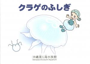 Guide 2017 - The Mysteries of Jellyfishes