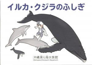 Guide 2022 - The Mysteries of Dolphins and Whales