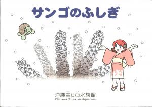 Guide 2025 -  The Mysteries of Corals