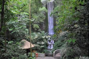 African Waterfall Aviary