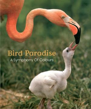 <strong>Bird Paradise, A Symphony Of Colours</strong>, Mandai Wildlife Group, Singapore, 2024