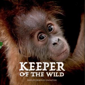 <strong>Keeper of the Wild</strong>, Koh Buck Song, Wildlife Reserves Singapore, 2017