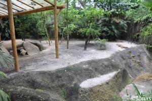 Enclos des varans de Komodo