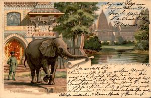 Carte postale