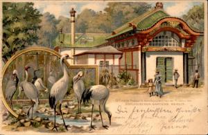 Carte postale