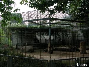 Enclos des tigres de Sumatra