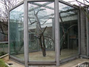 Une des cages des cercopithèques noir et vert