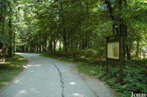 Tierpark Oberwald