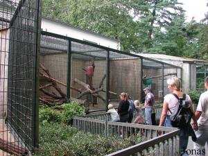 Cages extérieures des primates