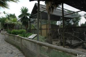 Cages des singes et des coatis